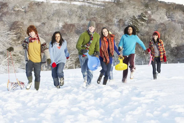 Группа Друзей Подростков Катающихся Санках Снежном Пейзаже — стоковое фото