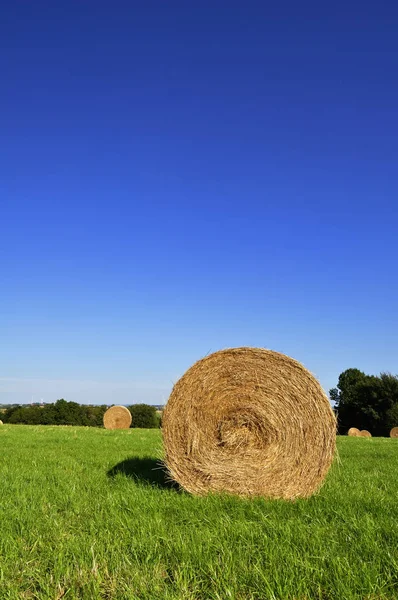 Malebný Výhled Krajinu — Stock fotografie