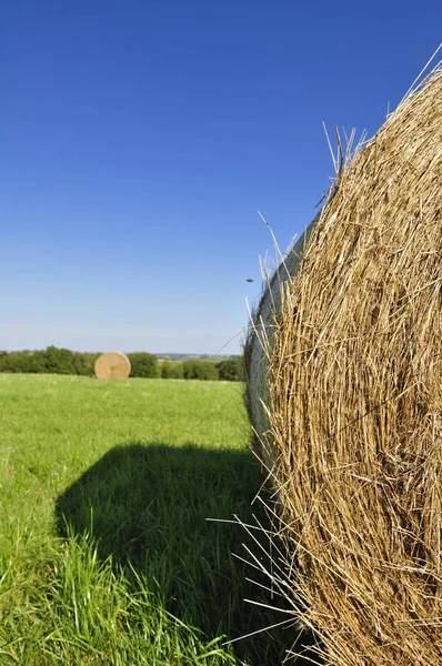 Naturskön Utsikt Över Landsbygden Selektivt Fokus — Stockfoto