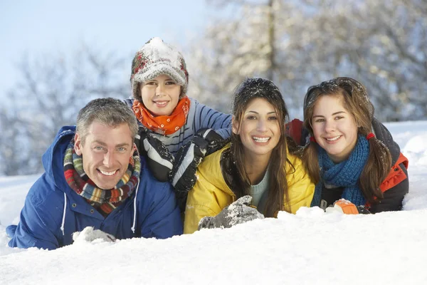 Familia Joven Divirtiéndose Paisaje Nevado Imagen De Stock