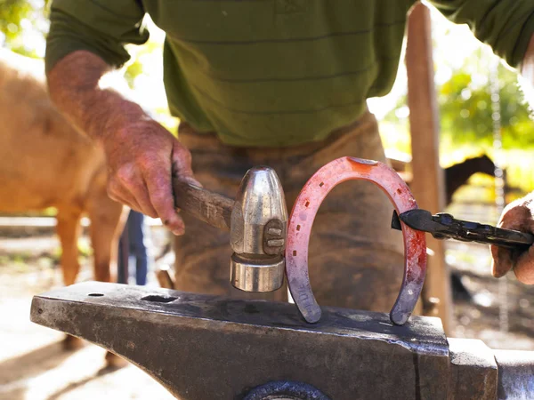 Farrier Holding Hot Horseshoe Tongs Anvil Horizontal Shot — Stock Photo, Image