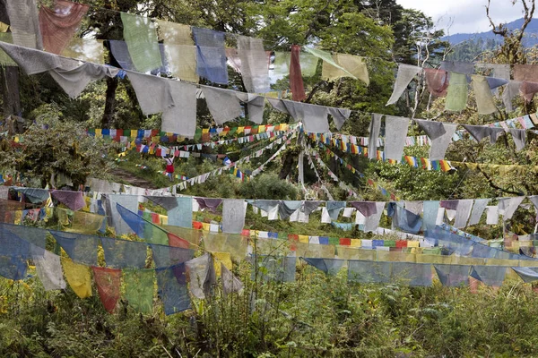 Uma Variedade Bandeiras Oração Budistas Espalhadas Por Campo Reino Himalaia — Fotografia de Stock