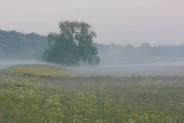 Piękny Widok Krajobraz Natury — Zdjęcie stockowe