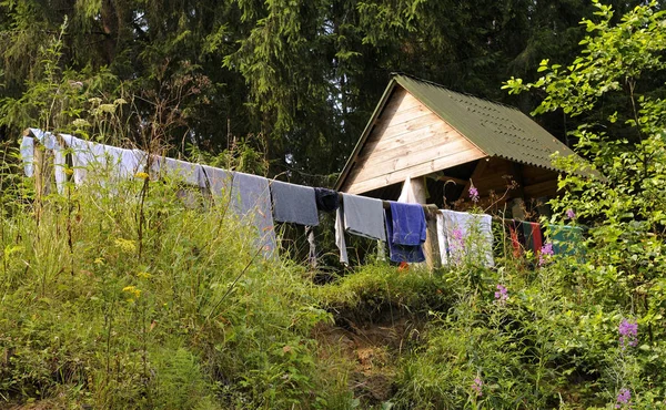 Waslijn Een Weide — Stockfoto