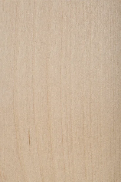 Brzoza Powierzchniowa Drewna Drewno Brzozowe — Zdjęcie stockowe