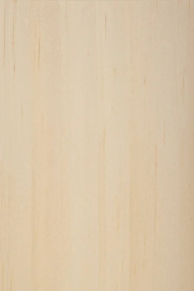 Белая Сосна Сосна Веймутская — стоковое фото