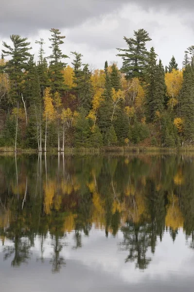 Herbstlaub Lake Woods Ontario Kanada — Stockfoto