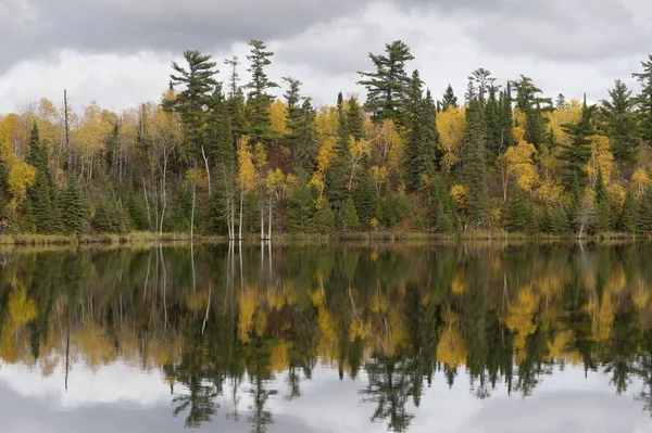 Follaje Caída Lago Los Bosques Ontario Canadá — Foto de Stock