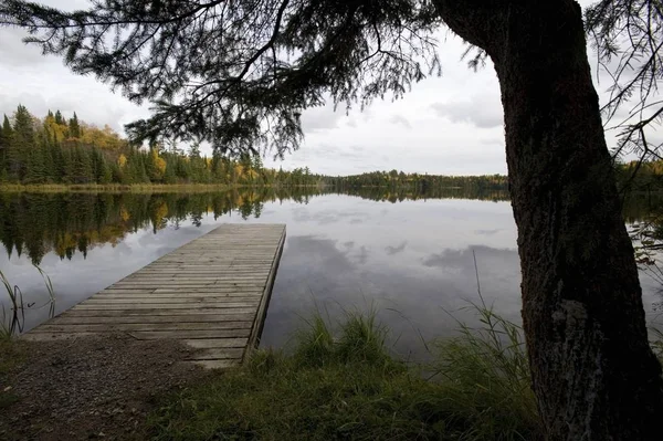 Doca Lago Floresta Ontário Canadá — Fotografia de Stock