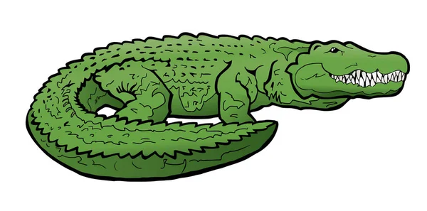 Alligator Illustration Bild — Stockfoto