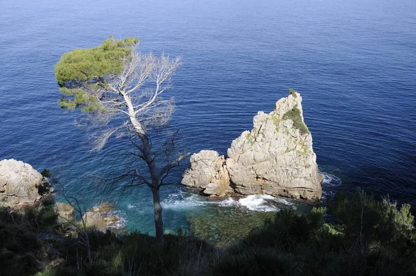 Skały Wybrzeżu Majorki — Zdjęcie stockowe