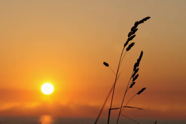 Bela Vista Céu Por Sol — Fotografia de Stock