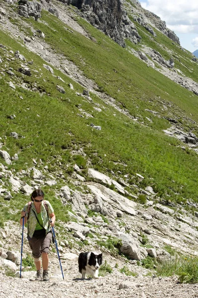 Güzel Alpler Manzarasının Manzarası — Stok fotoğraf