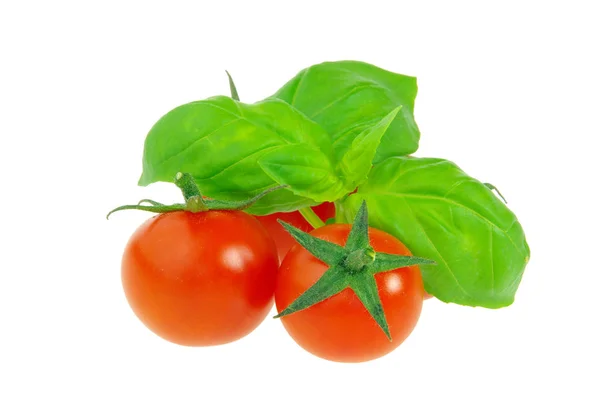 トマトとバジル トマトとバジル19 — ストック写真