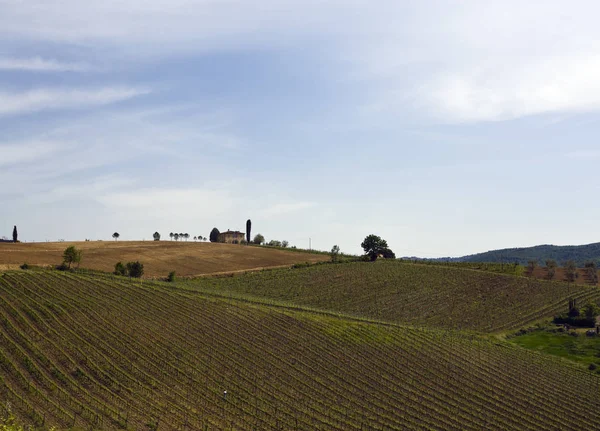 Chianti Weinberg Frühling Bauernhaus Auf Einem Hügel — Stockfoto