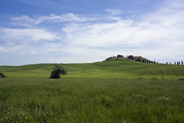 Paisaje Creta Senesi Toscana Primavera — Foto de Stock