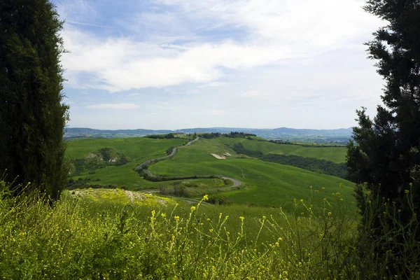 Estrada Sinuosa Através Paisagem Toscana Vista Através Ciprestes — Fotografia de Stock