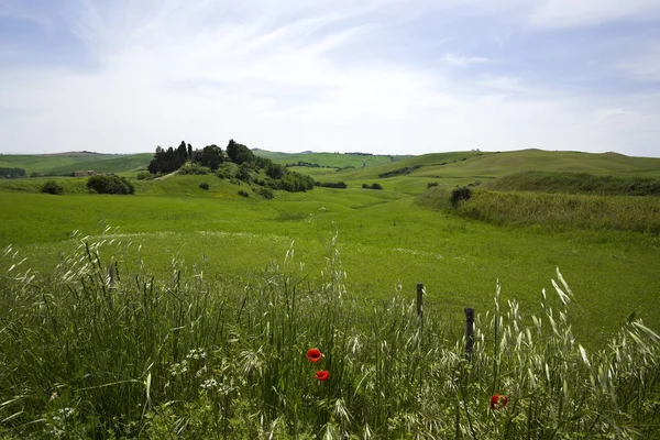 Pittoresk Utsikt Över Vackra Toscana Landskap — Stockfoto