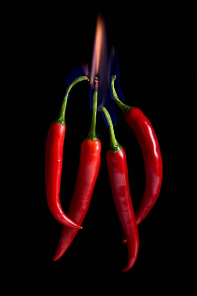 Τέσσερις Κόκκινες Πιπεριές Τσίλι Καύση Μαύρο Φόντο — Φωτογραφία Αρχείου