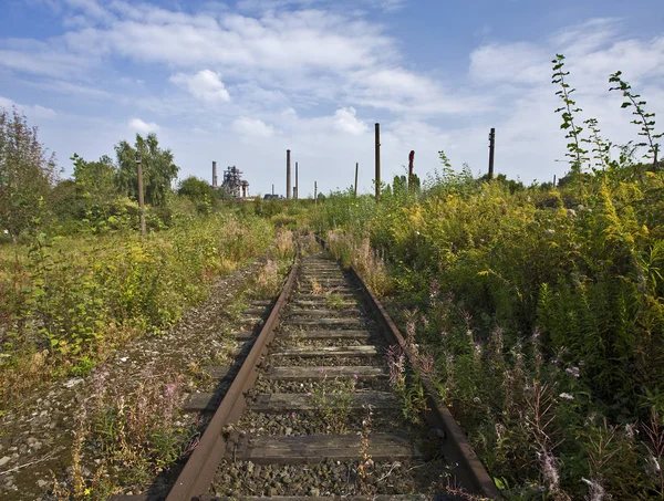 Des Rails Rouillés Envahis Par Des Plantes Sauvages Menant Abandon — Photo