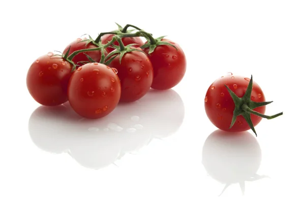 Six Fresh Tomatoes Vine Single One — Stock Photo, Image