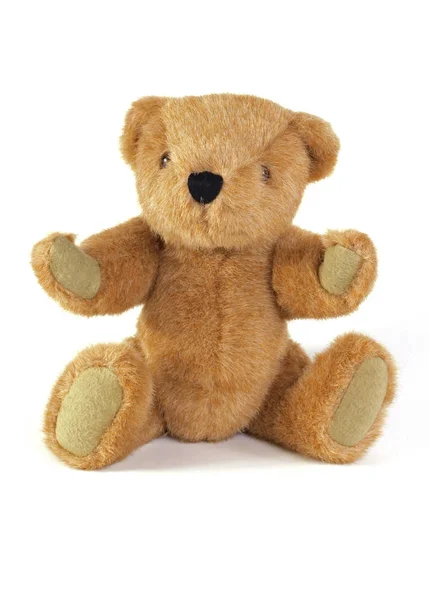 Teddybär Auf Schlichtem Weißem Hintergrund — Stockfoto