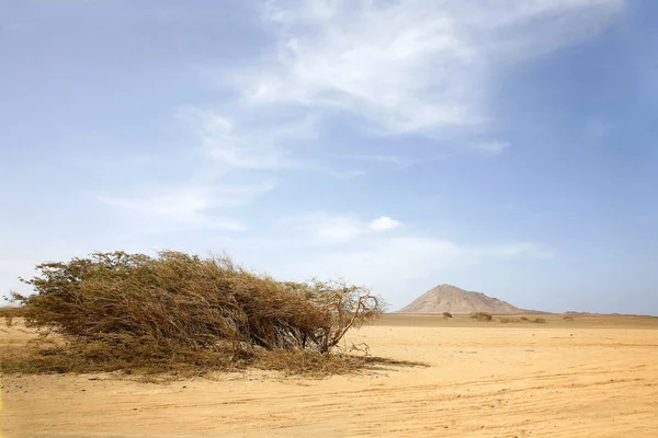 Deserto Arenoso Paisagem Duna — Fotografia de Stock