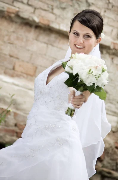 Retrato Bela Noiva — Fotografia de Stock