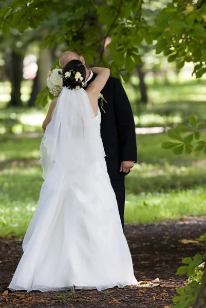 Sposa Sposo Baciare Nel Parco — Foto Stock