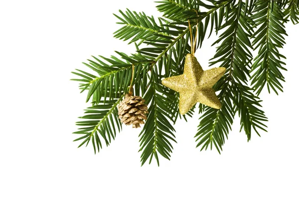 Christmas Decoration Fir Branch Golden Star Cone Isolated White — Stock Photo, Image