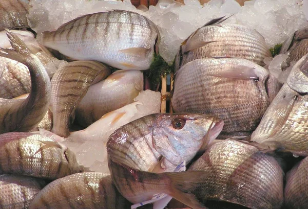 Peixe Fresco Mercado — Fotografia de Stock