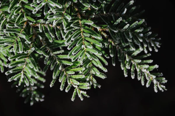 Kleurrijke Achtergrond Voor Kerst Nieuwjaar Vakantie Kaart — Stockfoto