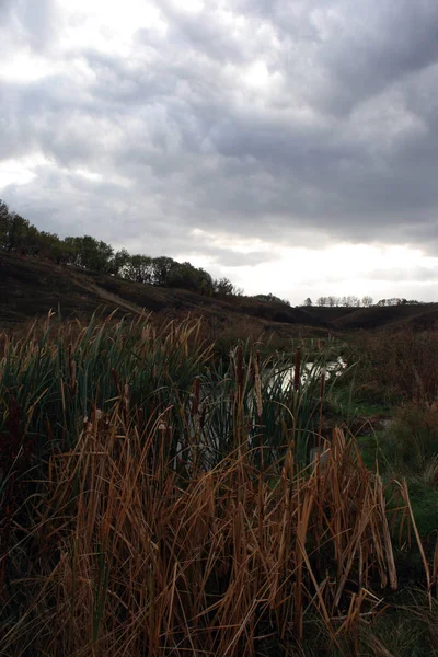 Paisaje Con Pequeño Río — Foto de Stock