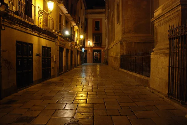 Pasiegas Square Cathedral Granada Andalusia Spain — Stock Photo, Image