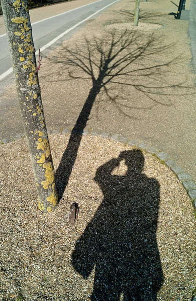 Sombra Fotógrafo Árbol Londres — Foto de Stock