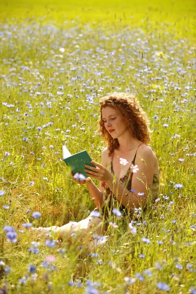 Piękna Kobieta Czytająca Książkę Polu Kwiatów — Zdjęcie stockowe