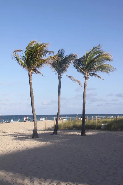 Strand Miami Beach — Stockfoto