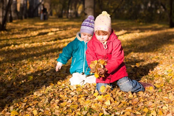 Los Niños Tiran Hojas Otoño —  Fotos de Stock