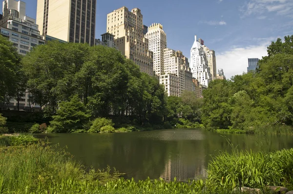 New York City Central Park Stock Picture