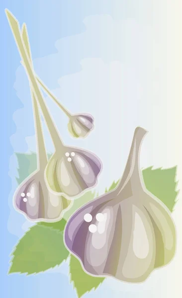 Close-up of garlic pods