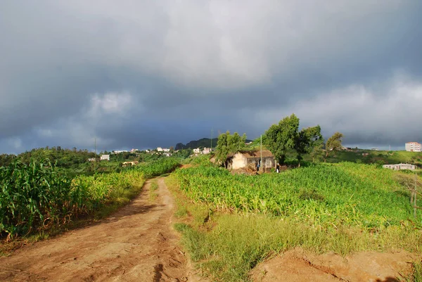 Vue Panoramique Sur Campagne Orientation Sélective — Photo