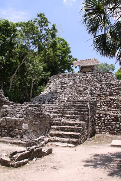 Vista Panorâmica Antigas Ruínas Coba Mayan — Fotografia de Stock