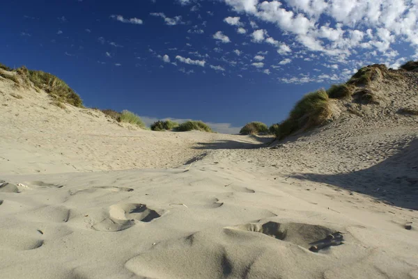 北海の砂丘 — ストック写真