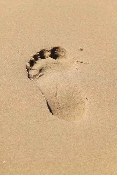 Kumda Ayak Izleri — Stok fotoğraf