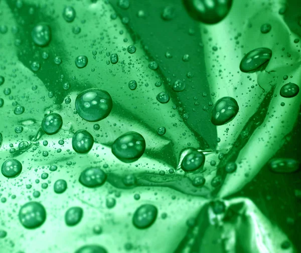 Πράσινο Φύλλο Σταγόνες Νερού — Φωτογραφία Αρχείου