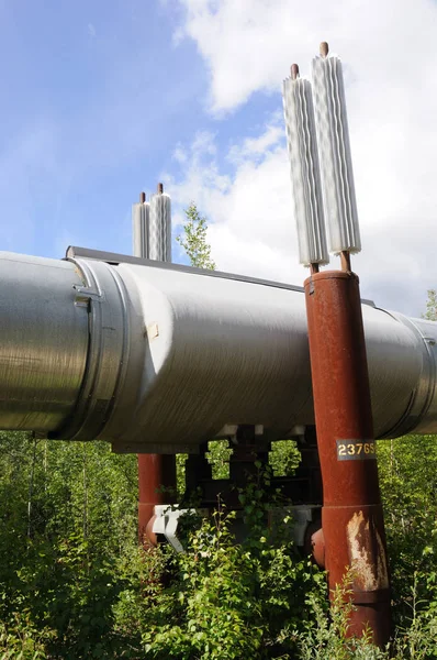 Trans Alaska Pipeline Permafrost Heat Exchangers — Stock Photo, Image