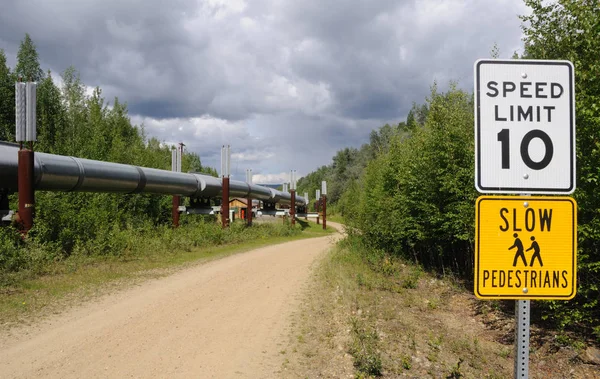 Trans Alaska Pipeline Con Permafrost Scambiatori Calore Stabilizzanti — Foto Stock