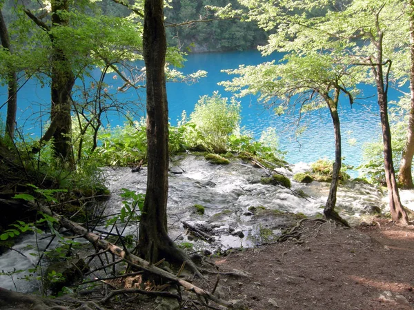 Schöne Aussicht Auf Die Natur — Stockfoto