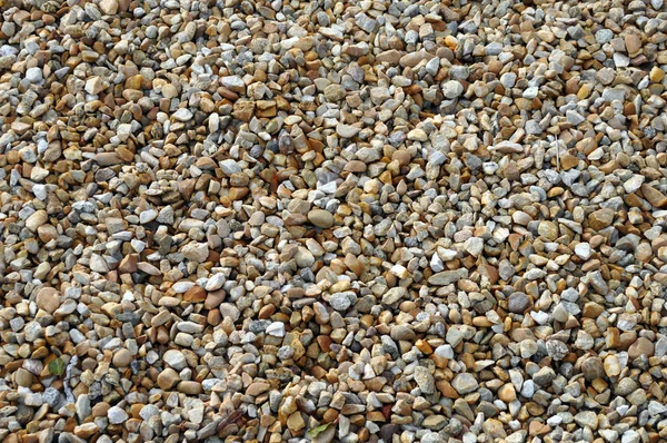 Stones Rocks Pebbles Rocky Background — Stock Photo, Image