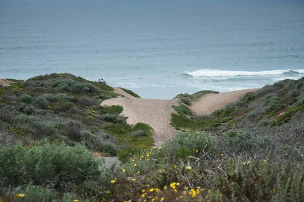 Scenic View Dunes Selective Focus — Stock Photo, Image